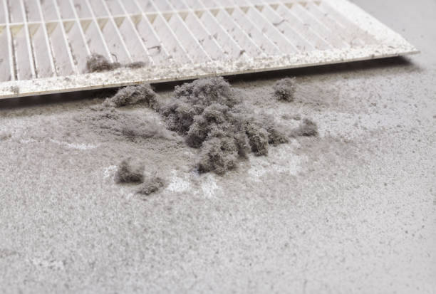 Best HVAC Duct Inspection Services  in Van Meter, IA