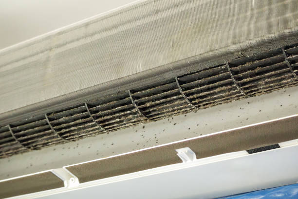 Professional Airduct Cleaning in Van Meter, IA